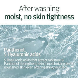 Pyunkang Yul Calming Acne Cleansing Foam 100ml