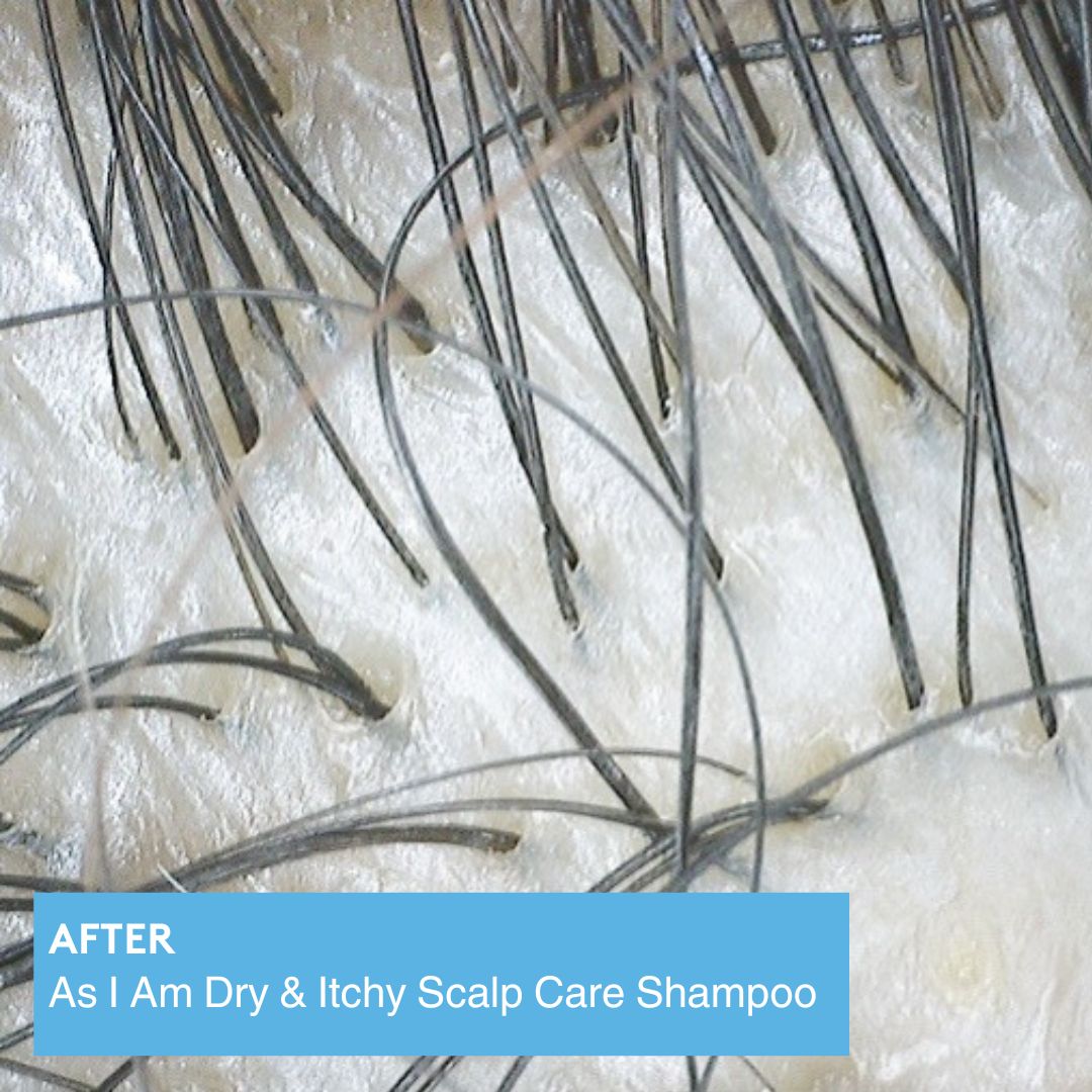 As I Am Dry&Itchy Scalp Care Shampoo 12oz