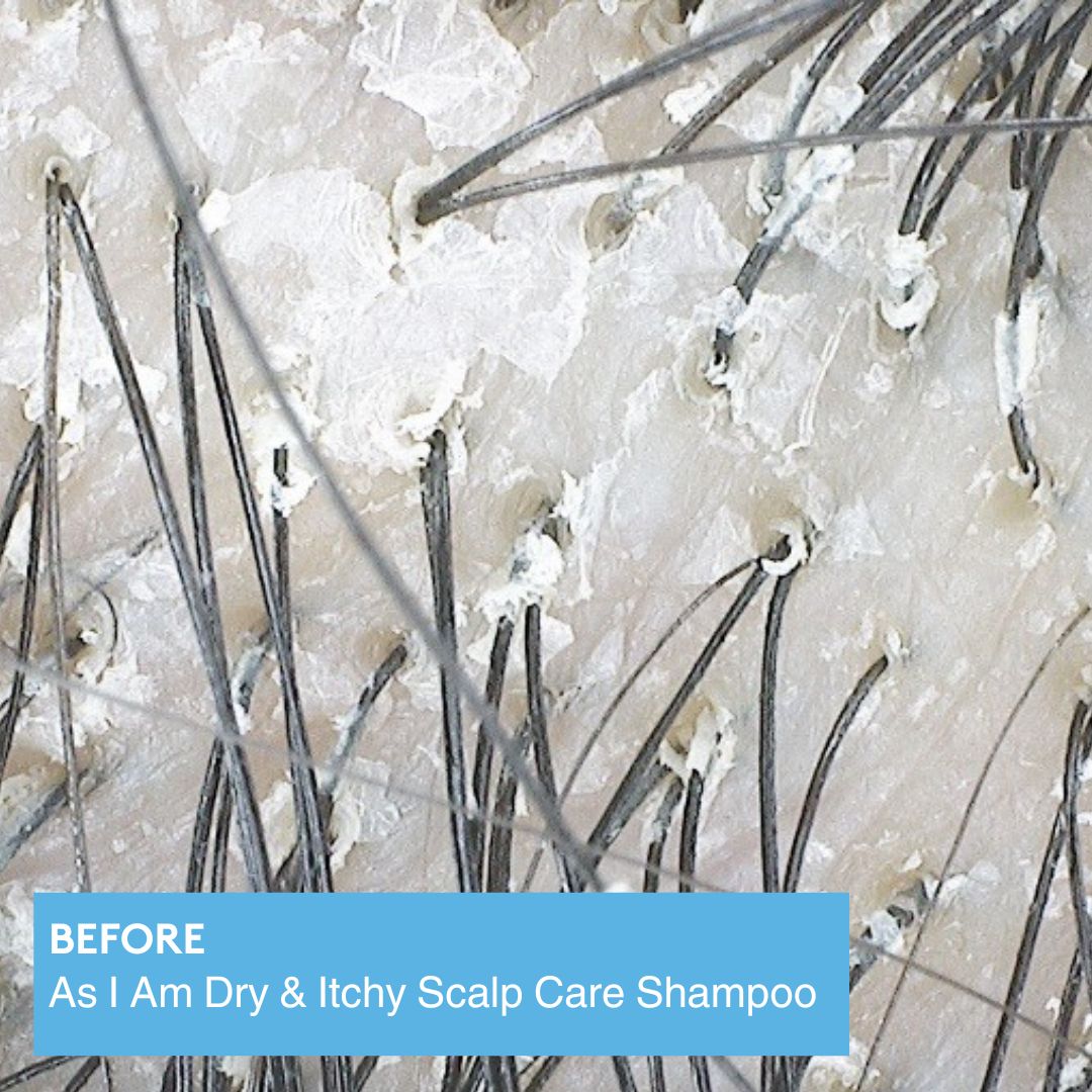 As I Am Dry&Itchy Scalp Care Shampoo 12oz