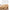 Pyunkang Yul Concentrated Eye Cream 25ml