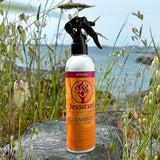 Jessicurl Aquavescent Hair Spray