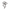 SwirlyCurly Snappee 5 smelluteygjur