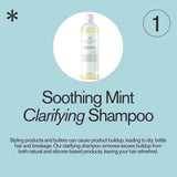 Inahsi Soothing Mint Clarifying Shampoo