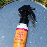 Jessicurl Aquavescent Hair Spray